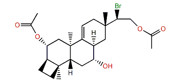 15-Bromo-2,16-diacetoxyisoparguer-7-ol