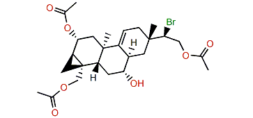 15-Bromo-2,7,19-triacetoxy-16-hydroxy-9(11)-parguerene