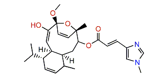 15-Hydroxycaribaeorane
