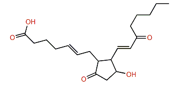 15-Keto-prostaglandin E2