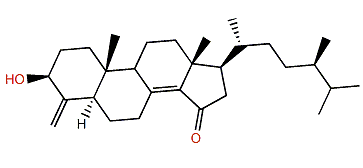 15-Oxoconicasterol