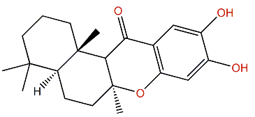 15-Oxopuupehenol