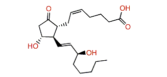 (15R)-Prostaglandin E2