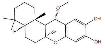 15a-Methoxypuupehenol