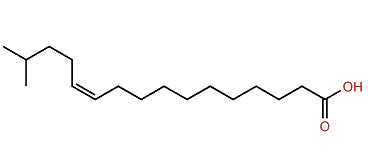 (Z)-15-Methyl-11-hexadecenoic acid