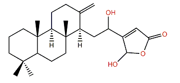 16,25-Dihydroxy-13(24),17-cheilanthadien-19,25-olide
