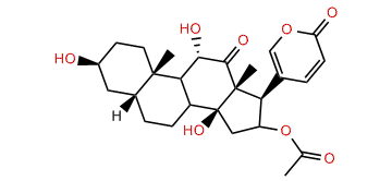 16-O-Acetylarenobufagin