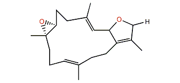 Sarcophytoxide