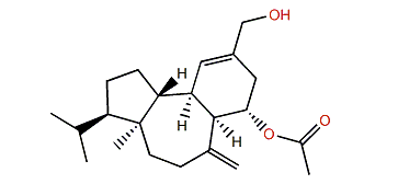 (9S)-16-Hydroxy-9-acetoxy-8-epi-sphaerodiene-2