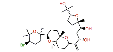 16-Hydroxydehydrothyrsiferol