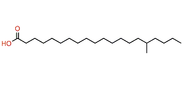 16-Methyleicosanoic acid