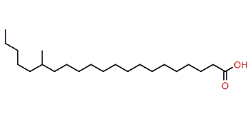 16-Methylheneicosanoic acid