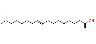 16-Methyl-9-heptadecenoic acid