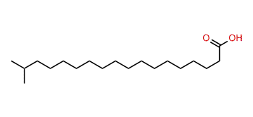 17-Methyloctadecanoic acid