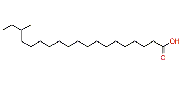 17-Methylnonadecanoic acid