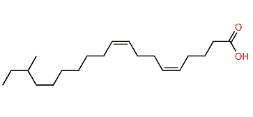 (Z,Z)-17-Methyl-5,9-nonadecadienoic acid