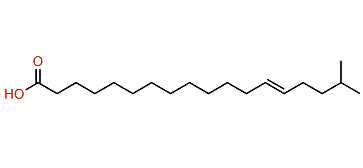 17-Methyl-13-octadecenoic acid