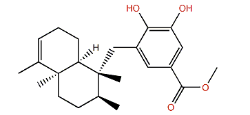 18-Hydroxy-5-epi-hyrtiophenol