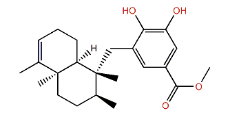 18-Hydroxy-5-epihyrtiophenol