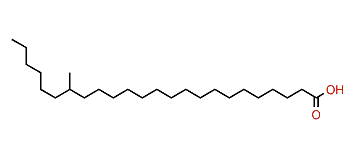 18-Methyltetracosanoic acid