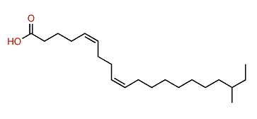 (Z,Z)-18-Methyl-5,9-eicosadienoic acid