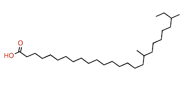 18,24-Dimethylhexacosanoic acid