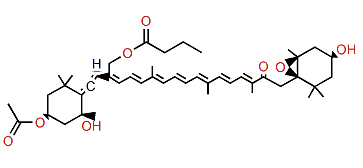 19'-Butanoyloxyfucoxanthin