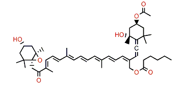 19'-Hexanoyloxyfucoxanthin