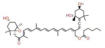 19'-Hexanoyloxyfucoxanthinol