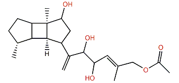 (5R)-19-Acetoxy-13,17-spatadiene-5,15,16-triol