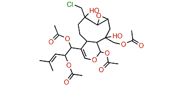 19-Acetoxy-18-chloro-7,11-havannadiol