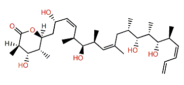 19-Deaminocarbonyldiscodermolide