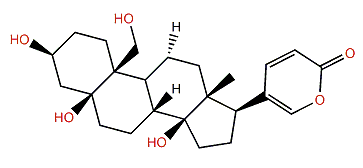 19-Hydroxytelocinobufagin