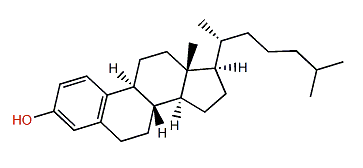 19-Norcholesta-1,3,5(10)-trien-3-ol
