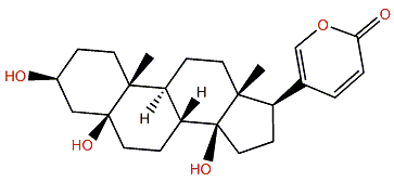 19-Oxo-desacetylcinobufotalin