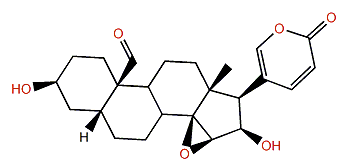 19-Oxodesacetylcinobufagin
