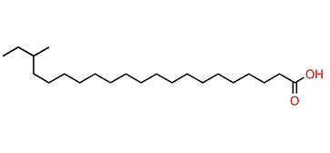 19-Methylheneicosanoic acid