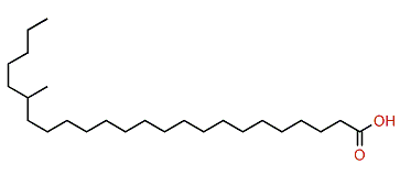 19-Methyltetracosanoic acid