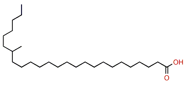 19-Methylpentacosanoic acid