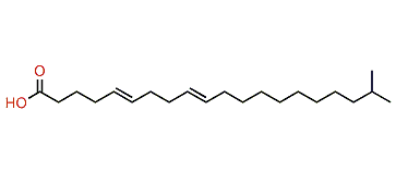 (E,E)-19-Methyl-5,9-eicosadienoic acid