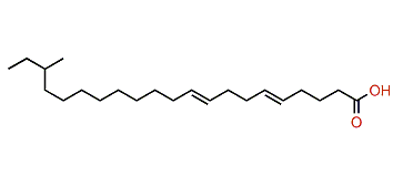 (E,E)-19-Methyl-5,9-heneicosadienoic acid