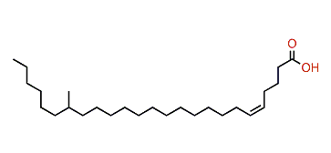 (Z)-19-Methyl-5-pentacosenoic acid