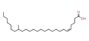 (Z)-19-Methyl-5-hexacosenoic acid