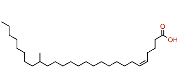 (Z)-19-Methyl-5-heptacosenoic acid