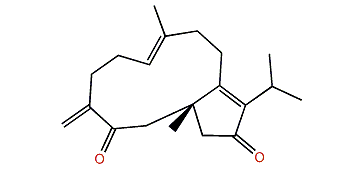 (1R)-Dolabella-4(16),7,11(12)-triene-3,13-dione
