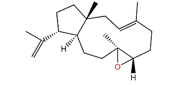 (1R,3E,7S,8S,11S,12R)-7,8-Epoxy-3,18-dolabelladiene