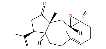(1R,3S,4S,7E,11S,12S)-3,4-Epoxy-14-oxo-7,18-dolabelladiene