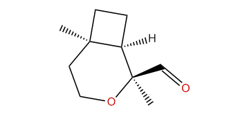 (1R,2S,6R)-2,6-Dimethyl-3-oxabicyclo[4.2.0]octane-2-carbaldehyde