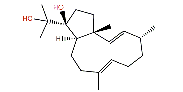 (1R,2E,4R,7E,11R,12S)-2,7-Dolabelladiene-12,18-diol