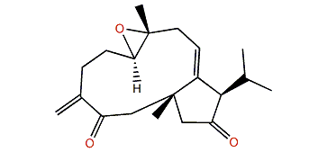 (1R,7R,8S,12R)-Dolabella-4(16),10-diene-7,8-epoxy-3,13-dione